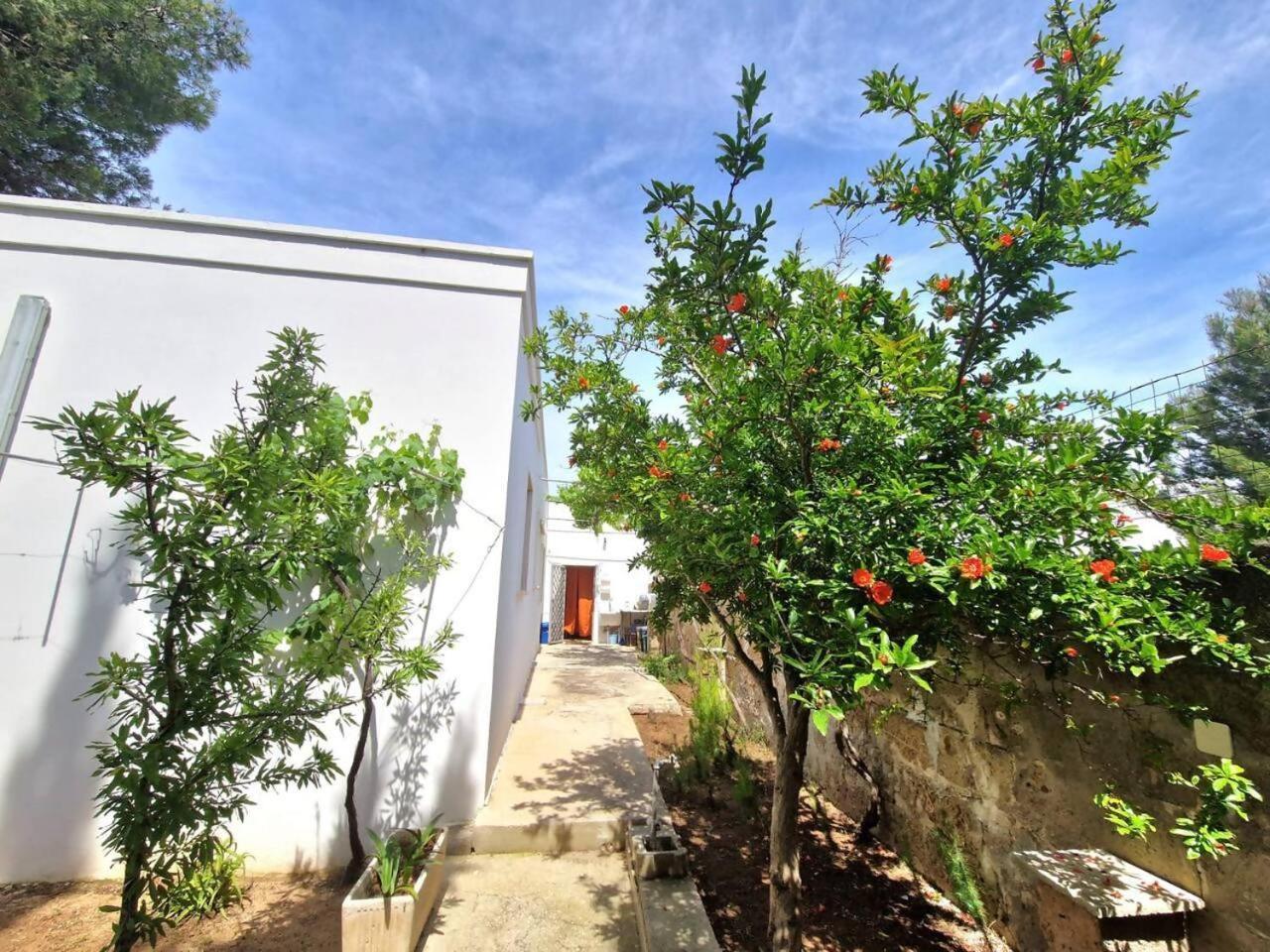 Villa Turchese Santisidoro Nordsudcasavacanza Torre Squillace Eksteriør billede
